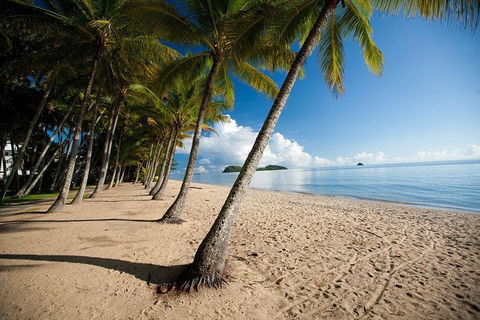 Kuranda Day Trip From Port Douglas Upgrade To Skyrail & Scenic Train Available - Holiday Great Ocean Road 1