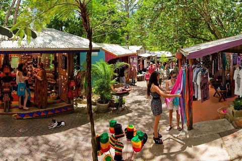 Kuranda Day Trip From Port Douglas Upgrade To Skyrail & Scenic Train Available - Holiday Great Ocean Road 2