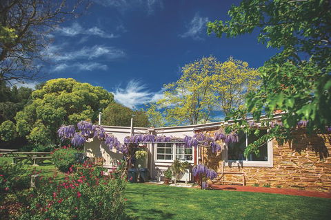 McLaren Vale Winery Small Group Tour With Wine Tasting And Lunch - Holiday Great Ocean Road 2