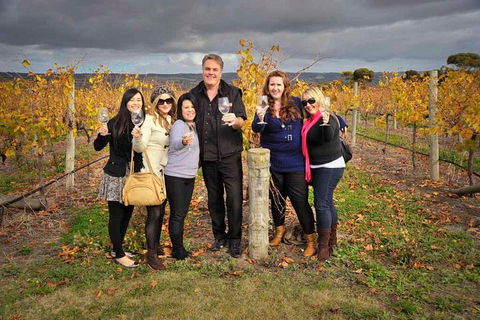 McLaren Vale Winery Small Group Tour With Wine Tasting And Lunch - Holiday Great Ocean Road 3
