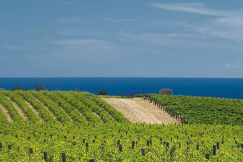 McLaren Vale Winery Small Group Tour With Wine Tasting And Lunch - Holiday Great Ocean Road 4