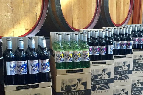 Mclaren Vale Luxury Full Day Small Group Wine Tour - Holiday Great Ocean Road 0