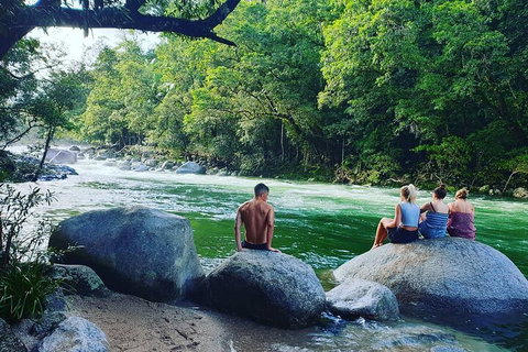 Afternoon Half-Day Daintree Rainforest And River Tour - Holiday Great Ocean Road 0
