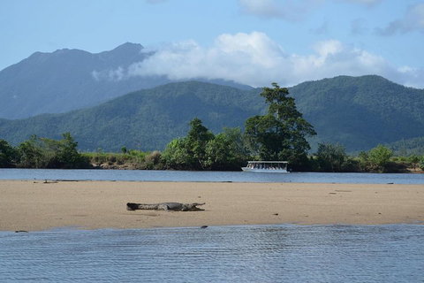 Afternoon Half-Day Daintree Rainforest And River Tour - Holiday Great Ocean Road 2