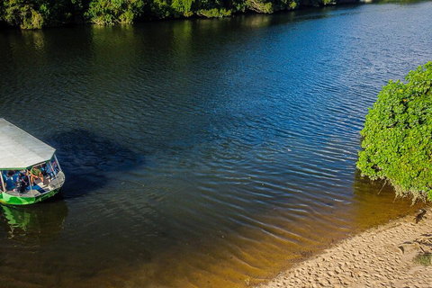 Afternoon Half-Day Daintree Rainforest And River Tour - Holiday Great Ocean Road 3