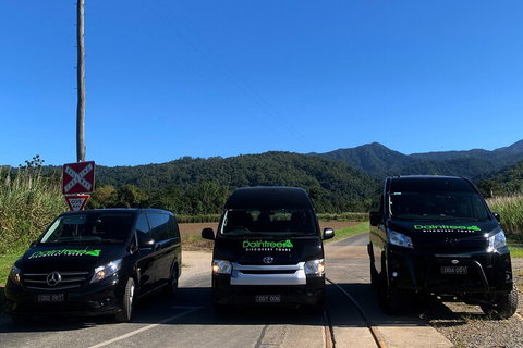 Afternoon Half-Day Daintree Rainforest And River Tour - Holiday Great Ocean Road 4