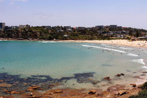 Half Day Manly Beach And More - Holiday Great Ocean Road 2