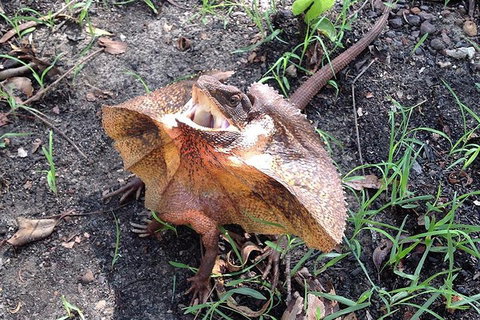 Litchfield National Park And Jumping Crocodile Cruise - Holiday Great Ocean Road 1