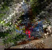 5-Day Lap of Tasmania Tour from Hobart flexible ticket - Holiday Great Ocean Road