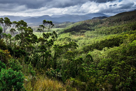 5-Day Lap Of Tasmania Tour From Hobart (flexible Ticket) - Holiday Great Ocean Road 2