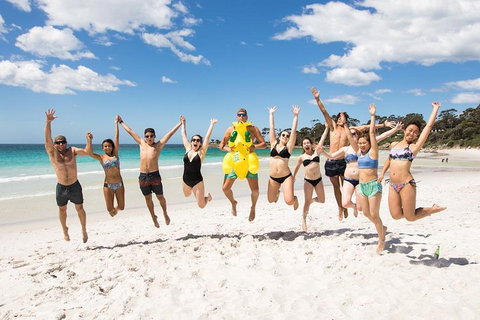 5-Day Lap Of Tasmania Tour From Hobart (flexible Ticket) - Holiday Great Ocean Road 4