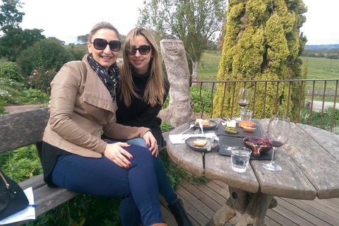 McLaren Vale Intimate Winery Tour By Private Limo - Holiday Great Ocean Road 4
