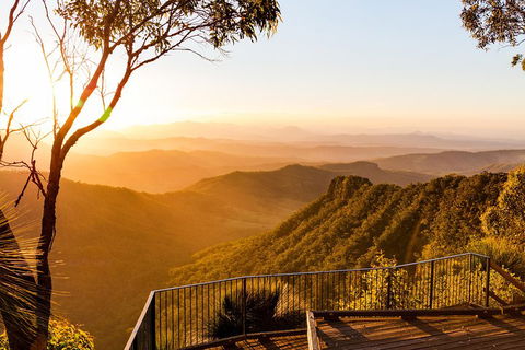 O'Reilly's & Lamington National Park Incl. Alpaca Farm + Vineyard - Holiday Great Ocean Road 0