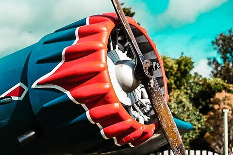 O'Reilly's & Lamington National Park Incl. Alpaca Farm + Vineyard - Holiday Great Ocean Road 1