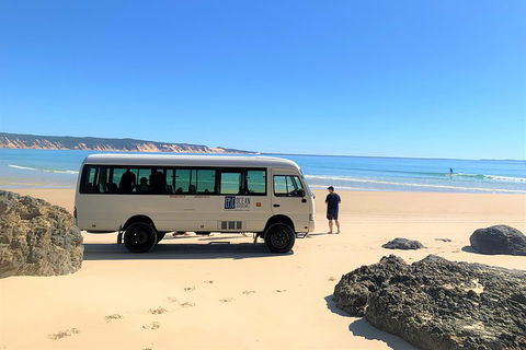Kayak With Dolphins And 4WD Great Beach Drive Day Trip From Noosa - Holiday Great Ocean Road 4
