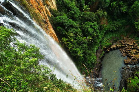 Rainforest & Waterfalls Extravaganza - Holiday Great Ocean Road 1