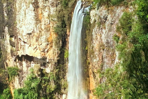 Rainforest & Waterfalls Extravaganza - Holiday Great Ocean Road 3