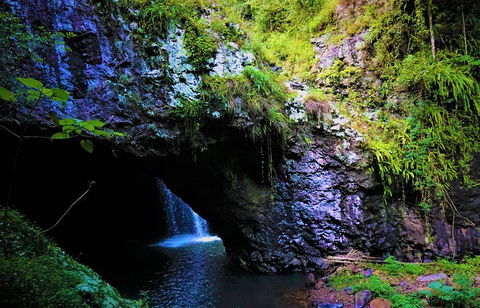 Rainforest & Waterfalls Extravaganza - Holiday Great Ocean Road 5