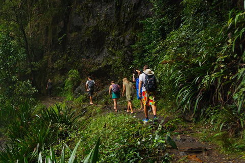 Glow Worms Private Tour - Nocturnal Rainforest Walk - Holiday Great Ocean Road 1