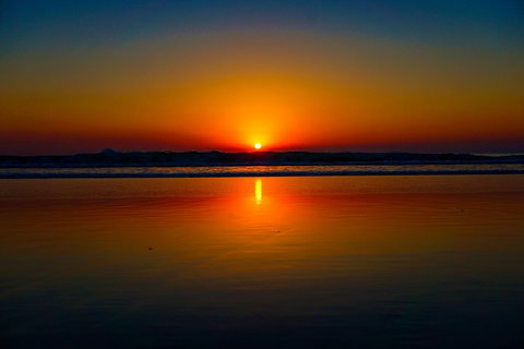 Glow Worms Private Tour - Nocturnal Rainforest Walk - Holiday Great Ocean Road 3