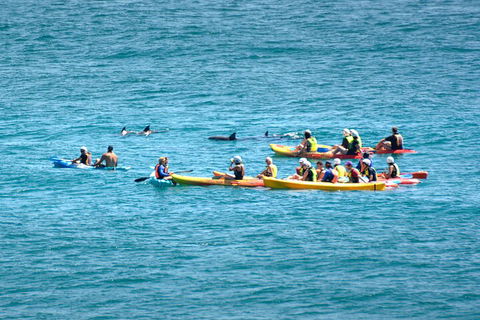 The Byron Bay Sea Kayak Tour - Holiday Great Ocean Road 1