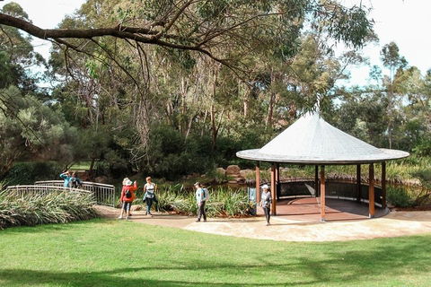 Highlights Of Kings Park - Holiday Great Ocean Road 1