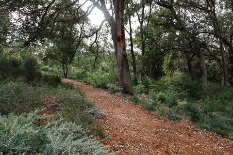 Highlights Of Kings Park - Holiday Great Ocean Road 5