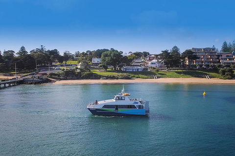 Phillip Island And French Island Wildlife Expedition - Holiday Great Ocean Road 2