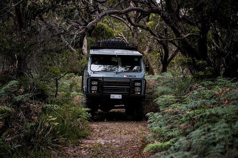 Phillip Island And French Island Wildlife Expedition - Holiday Great Ocean Road 4