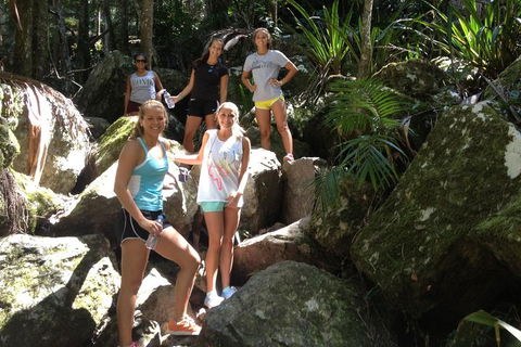 Byron Bay Combo: Hinterland Tour Including Minyon Falls And Kayaking With Dolphins - Holiday Great Ocean Road 4