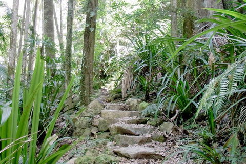 Byron Bay Combo: Hinterland Tour Including Minyon Falls And Kayaking With Dolphins - Holiday Great Ocean Road 5