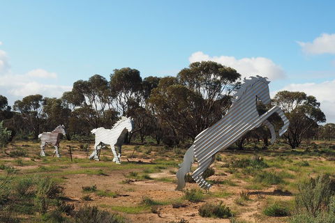 Wave Rock, Wild Flowers And Astro Photography - Holiday Great Ocean Road 5