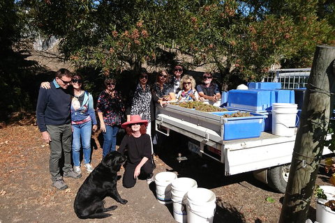 Valleys Of Vino Tour - Holiday Great Ocean Road 1