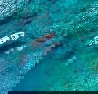 Premium Private Charter - Holiday Great Ocean Road