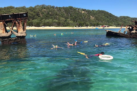 All Inclusive Dolphin And Tangalooma Wrecks Cruise - Holiday Great Ocean Road 0