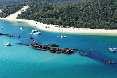 All Inclusive Dolphin And Tangalooma Wrecks Cruise - Holiday Great Ocean Road 4