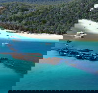 All Inclusive Tangalooma Wrecks Cruise Tour From Gold Coast - Holiday Great Ocean Road