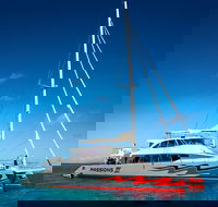 Passions of Paradise Great Barrier Reef Snorkel and Dive Cruise from Cairns by Luxury Catamaran - Holiday Great Ocean Road