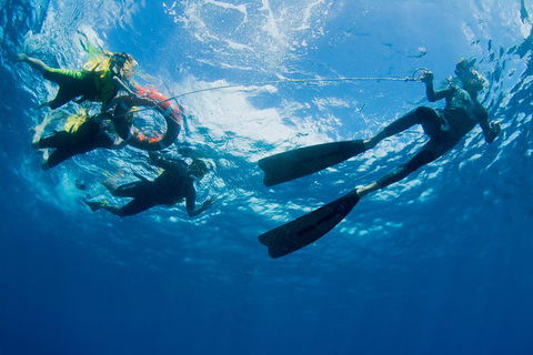 Passions Of Paradise Great Barrier Reef Snorkel And Dive Cruise From Cairns By Luxury Catamaran - Holiday Great Ocean Road 2