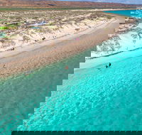 Ningaloo in a Day - Full Day Hike and Snorkel Tour with Lunch - Holiday Great Ocean Road