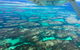 Shipwreck Special Full Day Tour Of The Abrolhos Islands - thumb 1