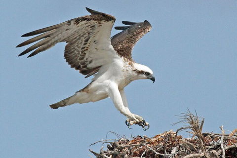Pink Lake + Abrolhos Islands Nature Tour - Holiday Great Ocean Road 3