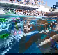 Great Barrier Reef Day Cruise from Cairns Including Snorkeling and Marine Biologist Presentation - Holiday Great Ocean Road