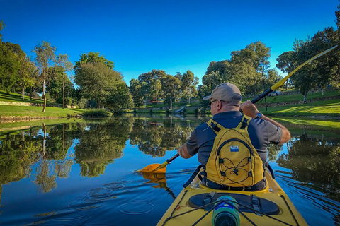 Adelaide City Kayak Tour - Holiday Great Ocean Road 5