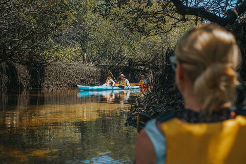 Kayak Tour In Adelaide Dolphin Sanctuary - Holiday Great Ocean Road 0