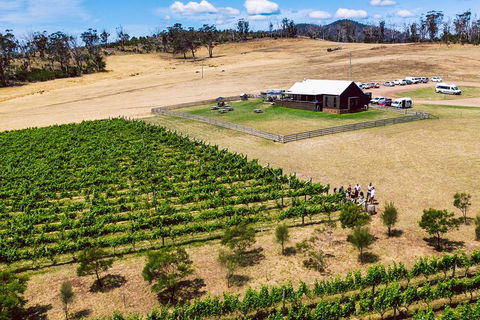 Tasmanian Wine Tour - Holiday Great Ocean Road 3