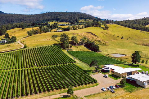 Tasmanian Wine Tour - Holiday Great Ocean Road 4