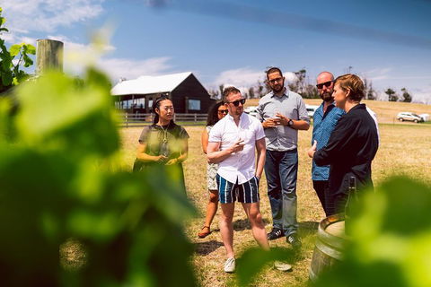 Tasmanian Wine Tour - Holiday Great Ocean Road 5