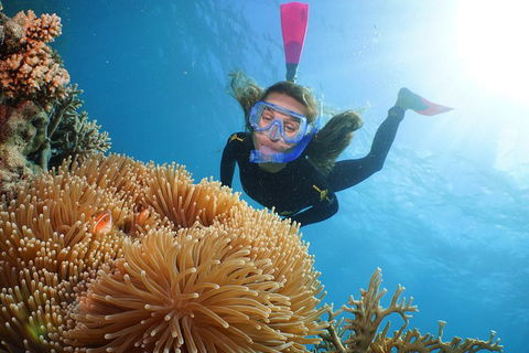 Quicksilver Outer Great Barrier Reef Snorkel Cruise From Palm Cove - Holiday Great Ocean Road 2