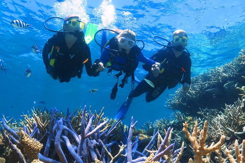 Quicksilver Outer Great Barrier Reef Snorkel Cruise From Palm Cove - Holiday Great Ocean Road 3